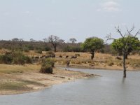 Marion, Romane South Africa 2014 (26 of 63) : KNP Satara area, Marion visit